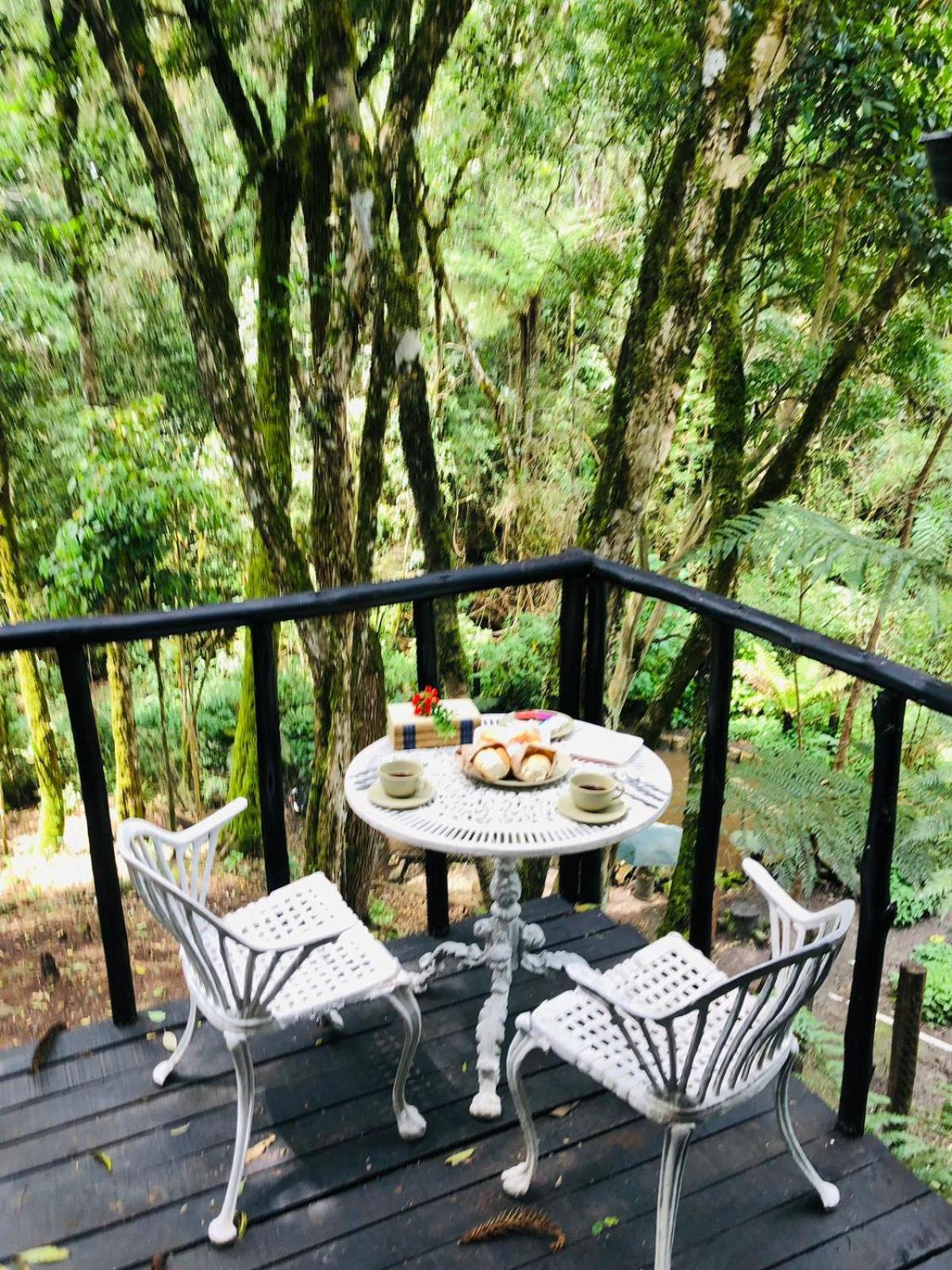 Little Cabana Com Hidromassagem Campos do Jordão Eksteriør bilde